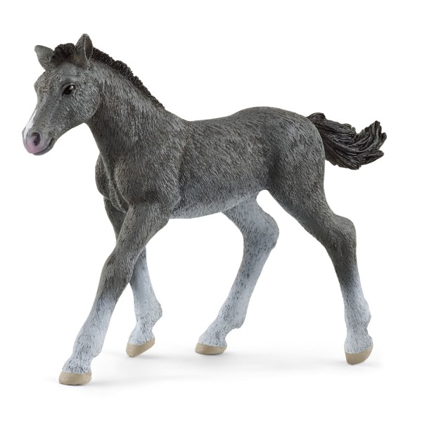 Schleich trakehner veulen